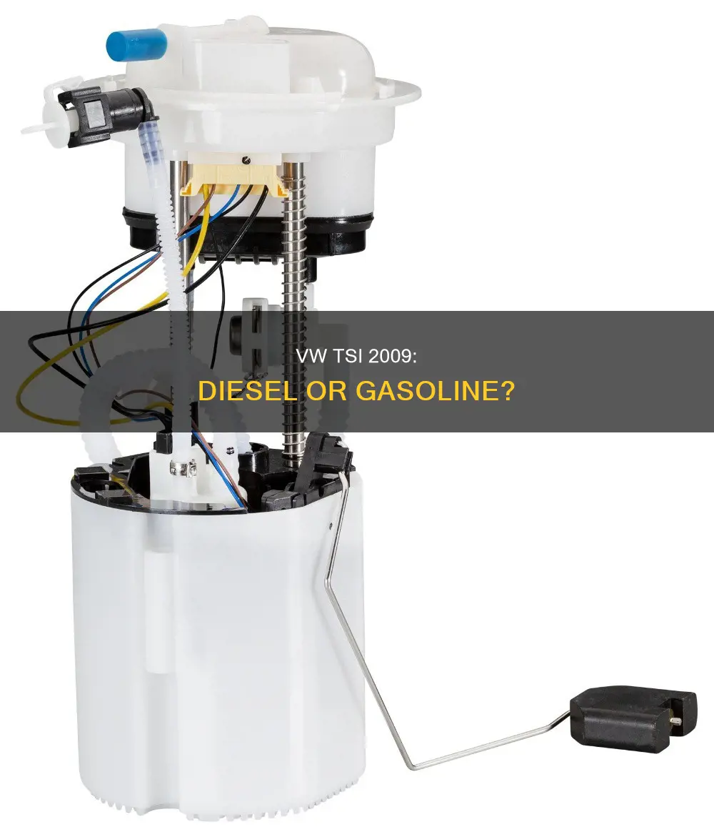 does a 2009 vw tsi take diesel fuel