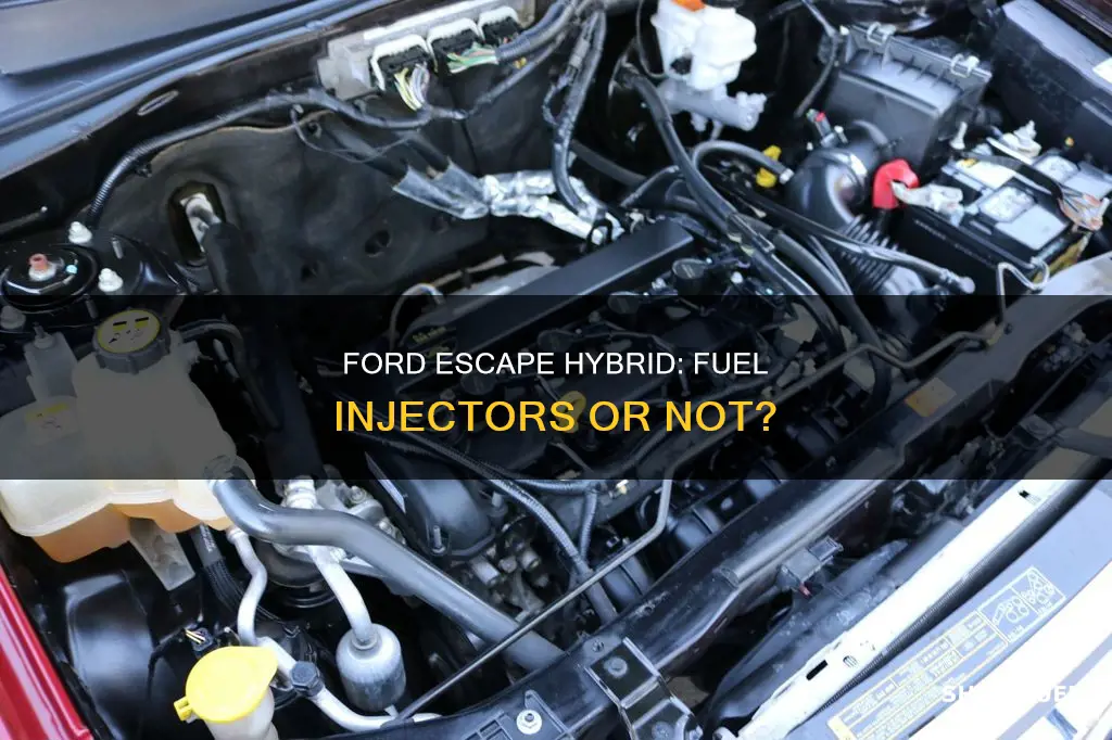 does a 2010 ford escape hybrid have fuel injectors