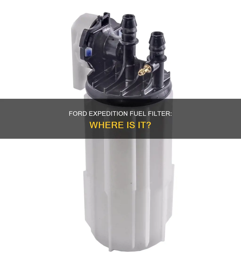 does a 2010 ford expedition have a fuel filter
