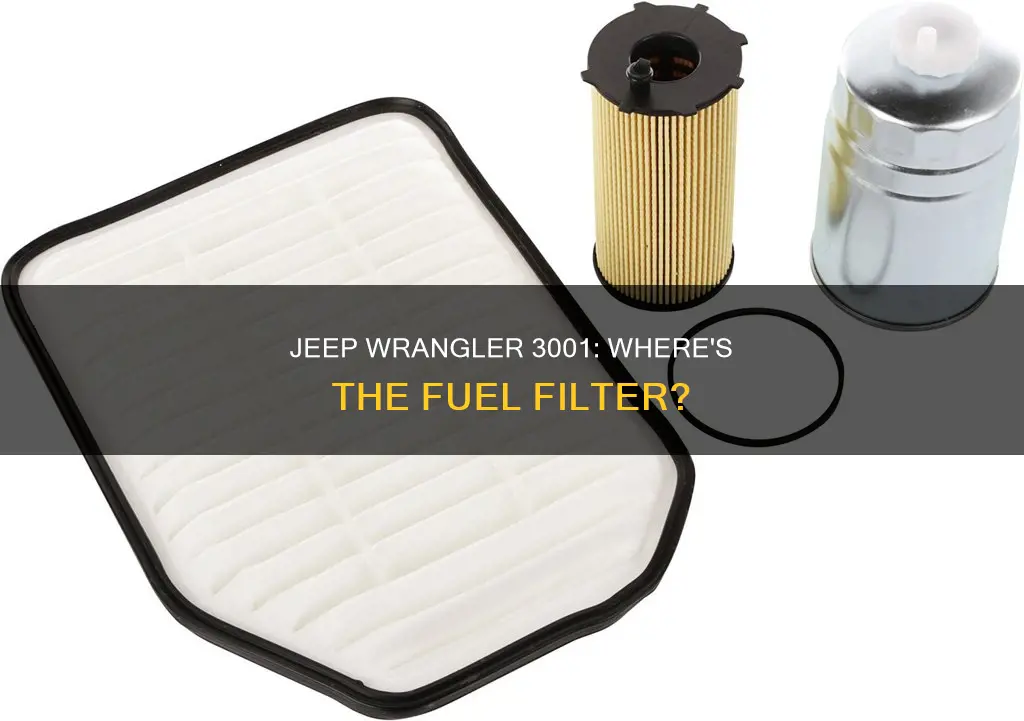 does a 3001 jeep wrangler have an external fuel filter