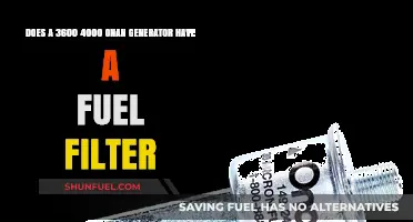 Where is the Fuel Filter on a 3600 Onan Generator?