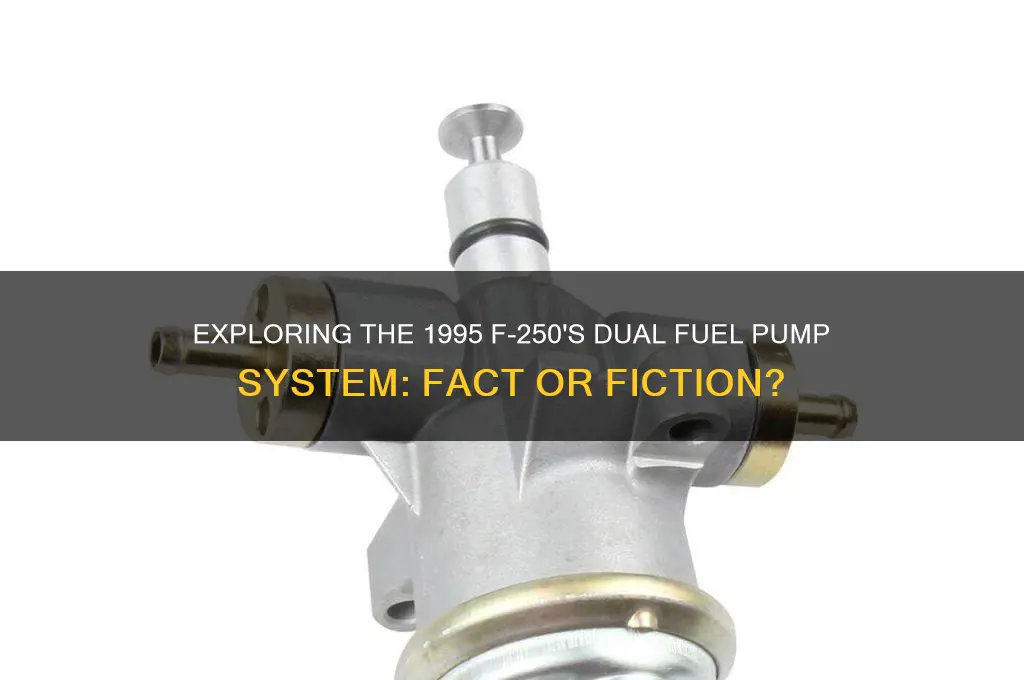 does a 95 f 250 have 2 fuel pumps
