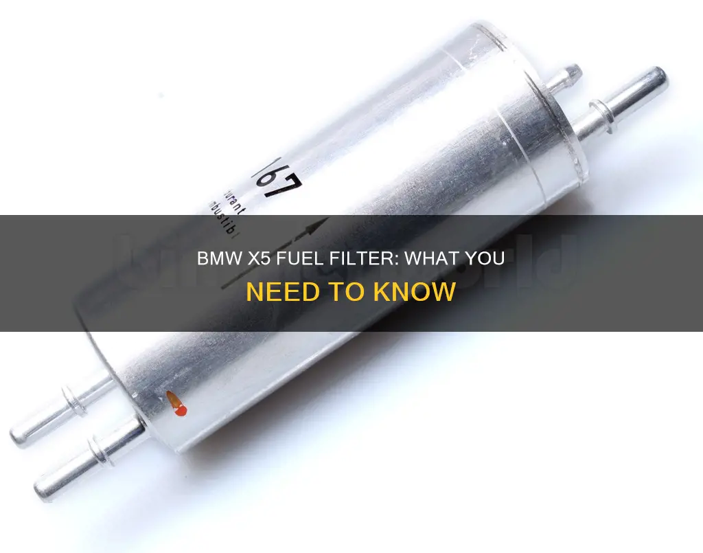 does a bmw x5 have a fuel filter