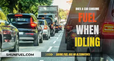 Idling Cars: Fuel Consumption and Environmental Impact