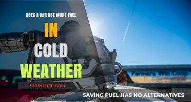 Cold Weather Fuel Efficiency: Does Your Car Consume More Gas?