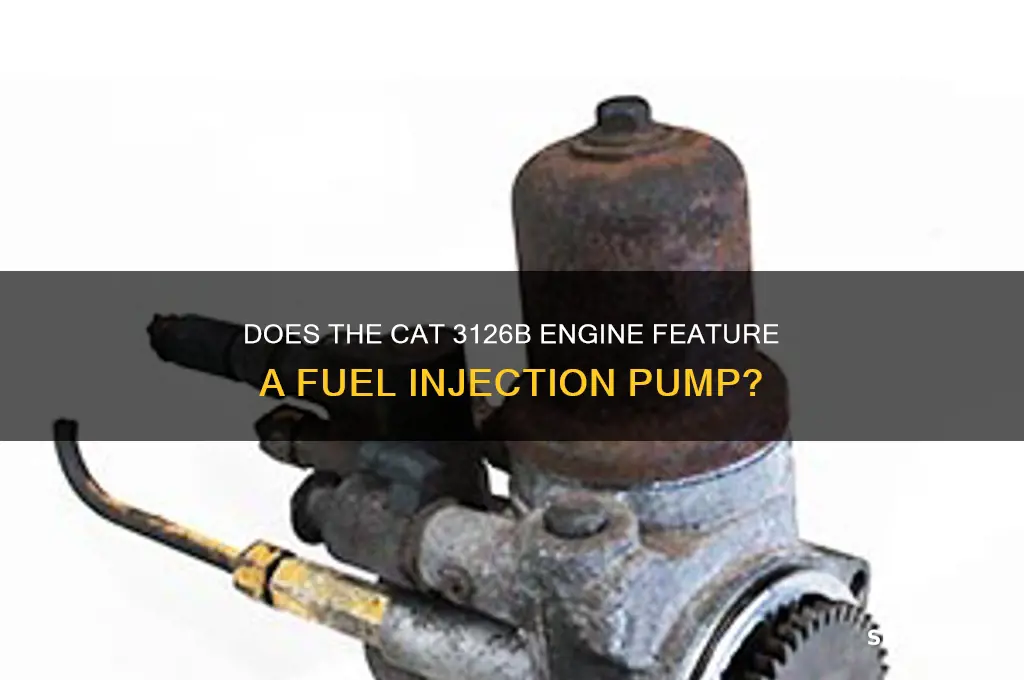 does a cat 3126b have an fuel injection pump