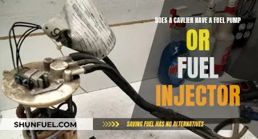 Fuel Delivery System: Cavalier's Pump and Injector Setup