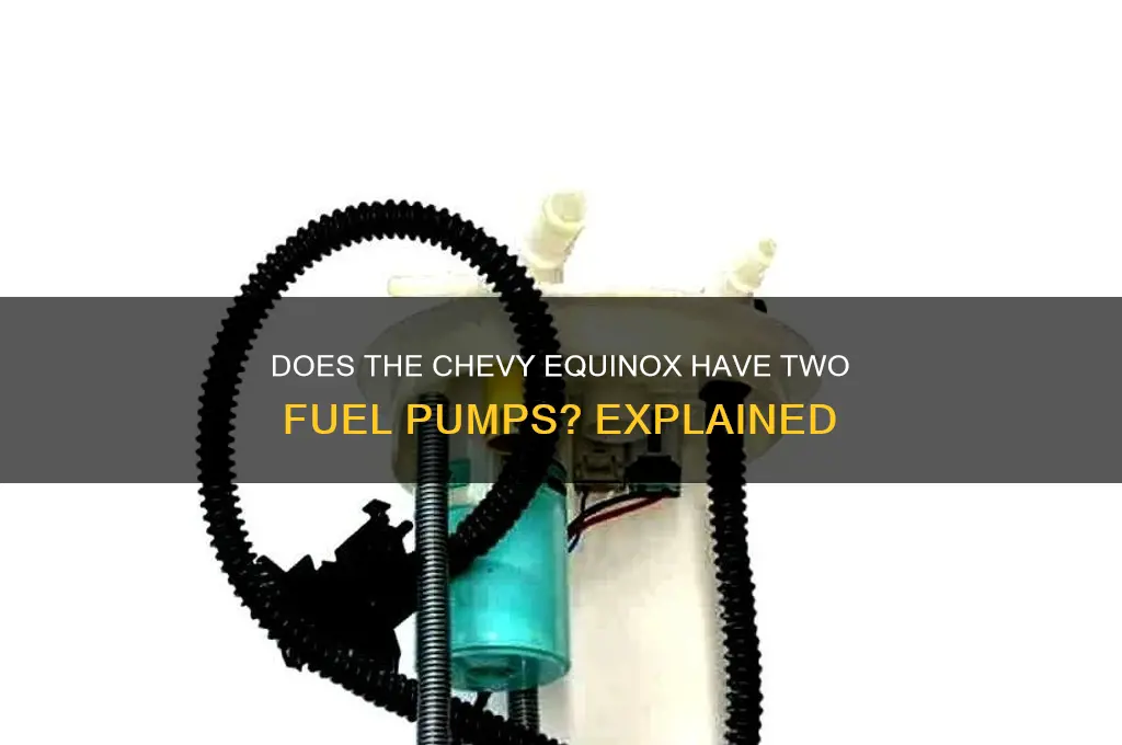 does a chevy equinox have 2 fuel pumps