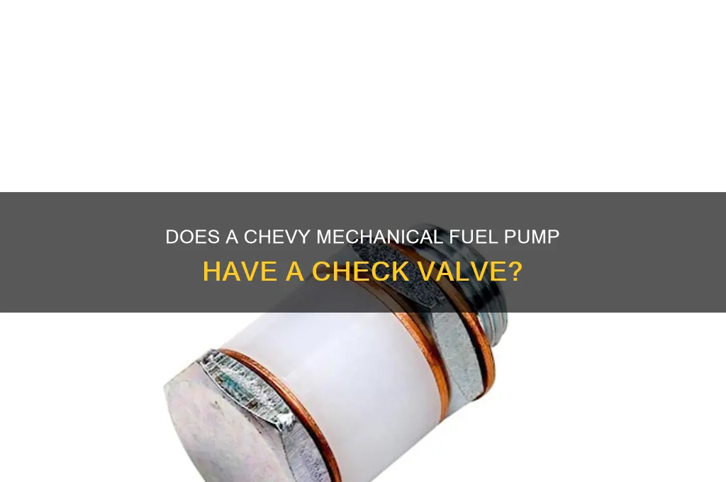 does a chevy mechanical fuel pump have a check valve