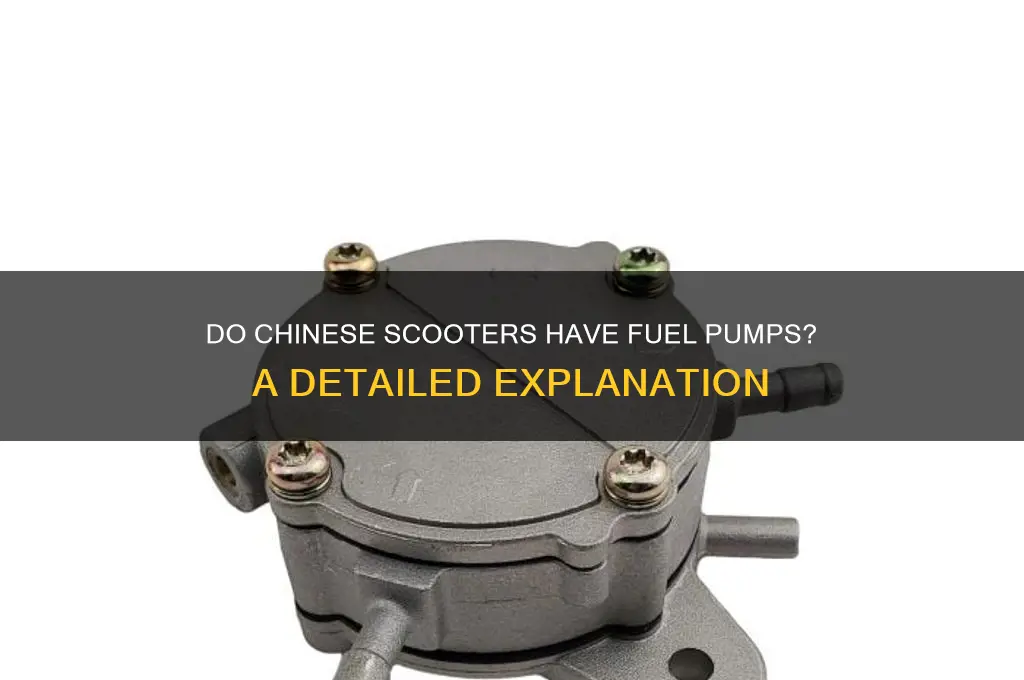 does a chinese scooter have a fuel pump