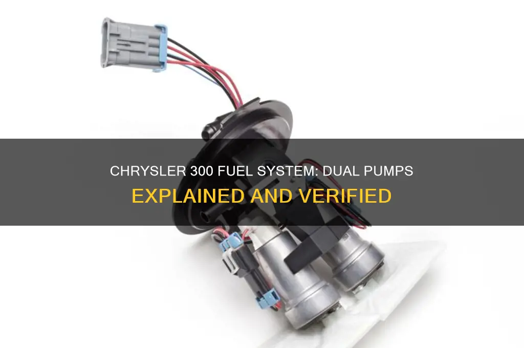 does a chrysler 300 have 2 fuel pumps