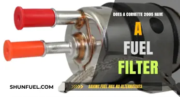 Fuel Filter on a Corvette 2005: Yes or No?