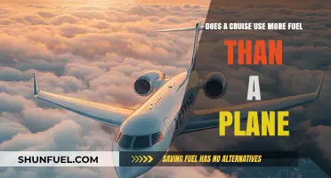 Cruise vs. Plane: Which Uses More Fuel for Travel?