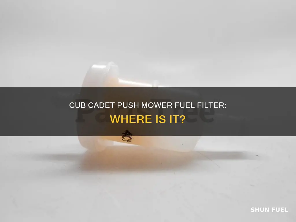 does a cub cadet push mower have a fuel filter