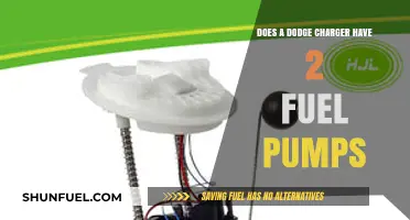 Does a Dodge Charger Have Dual Fuel Pumps? Explained