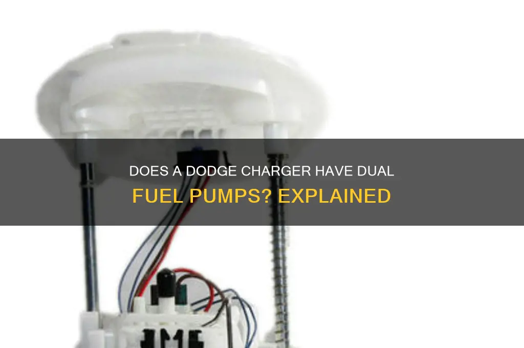 does a dodge charger have 2 fuel pumps
