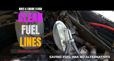 Engine Flush: Does It Really Clean Fuel Lines?