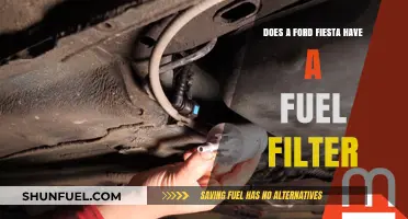 Ford Fiesta Fuel Filter: What You Need to Know