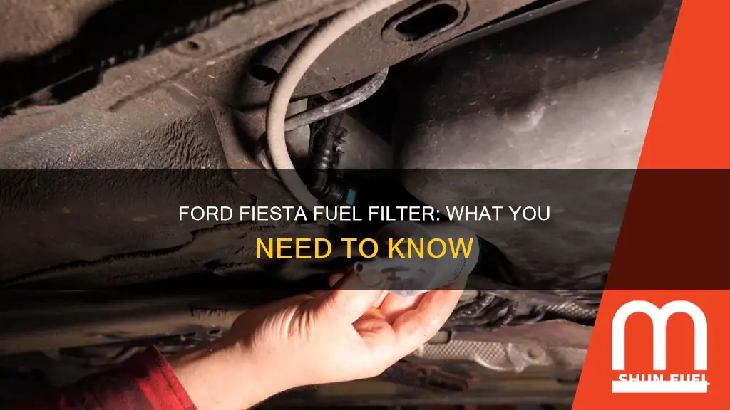 does a ford fiesta have a fuel filter