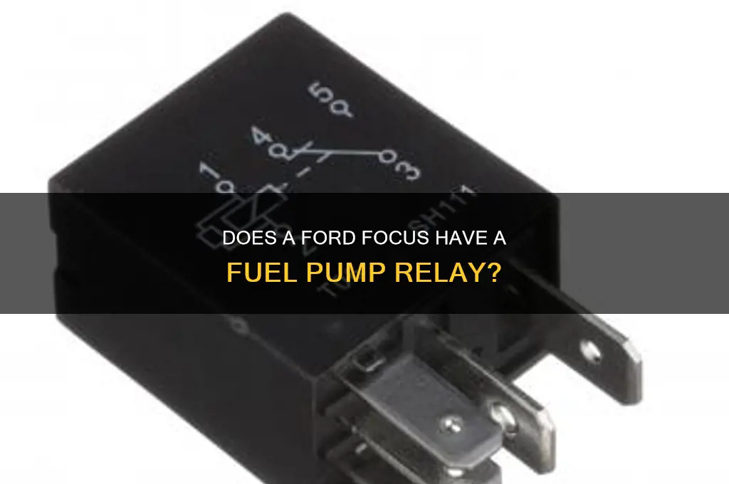 does a ford focus have a fuel pump relay