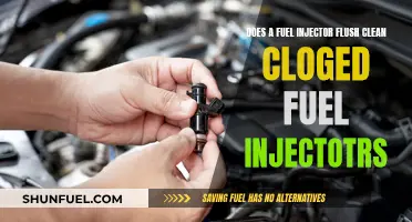 Fuel Injector Flush: Clearing Clogged Injectors?