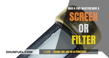 Fuel Injector Maintenance: Screen or Filter?