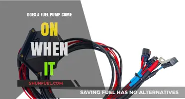 Does a Fuel Pump Activate When the Engine Starts?