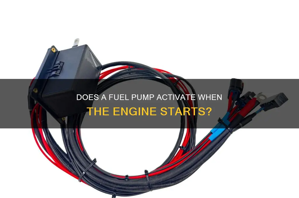 does a fuel pump come on when it