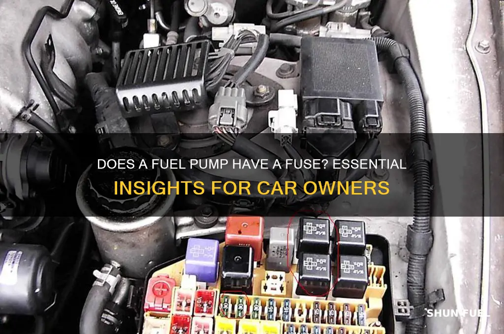 does a fuel pump have a fuse
