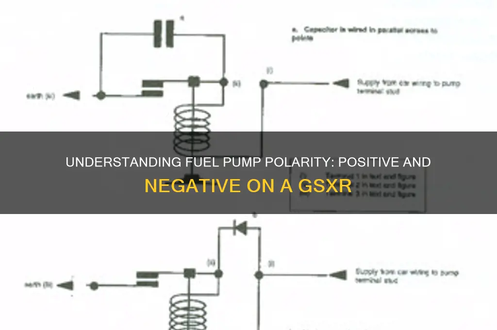 does a fuel pump have a positive and negative gsxr