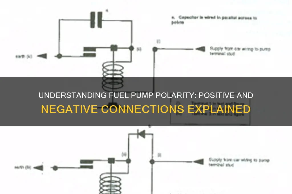 does a fuel pump have a positive and negative