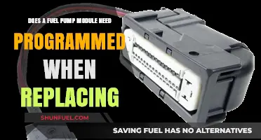 Fuel Pump Module Programming: Necessary or Not?