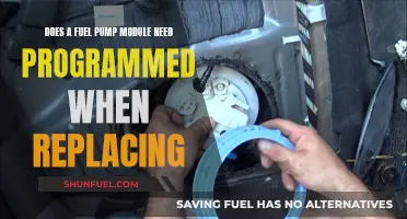 Fuel Pump Module: Programming Needed for Replacement?