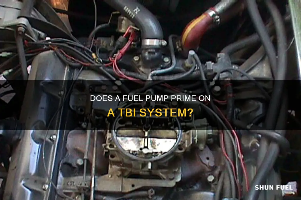 does a fuel pump prime on a tbi