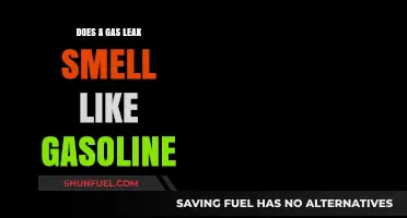 Unraveling the Mystery: What's That Gasoline-Like Odor?