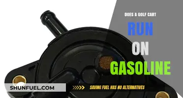 Exploring the Fuel Options: Do Golf Carts Run on Gasoline?