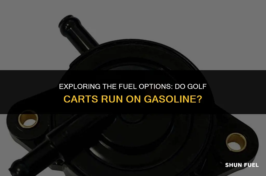 does a golf cart run on gasoline