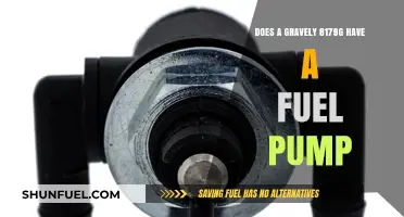 Gravely 8179G Fuel Pump: Does This Model Include One?