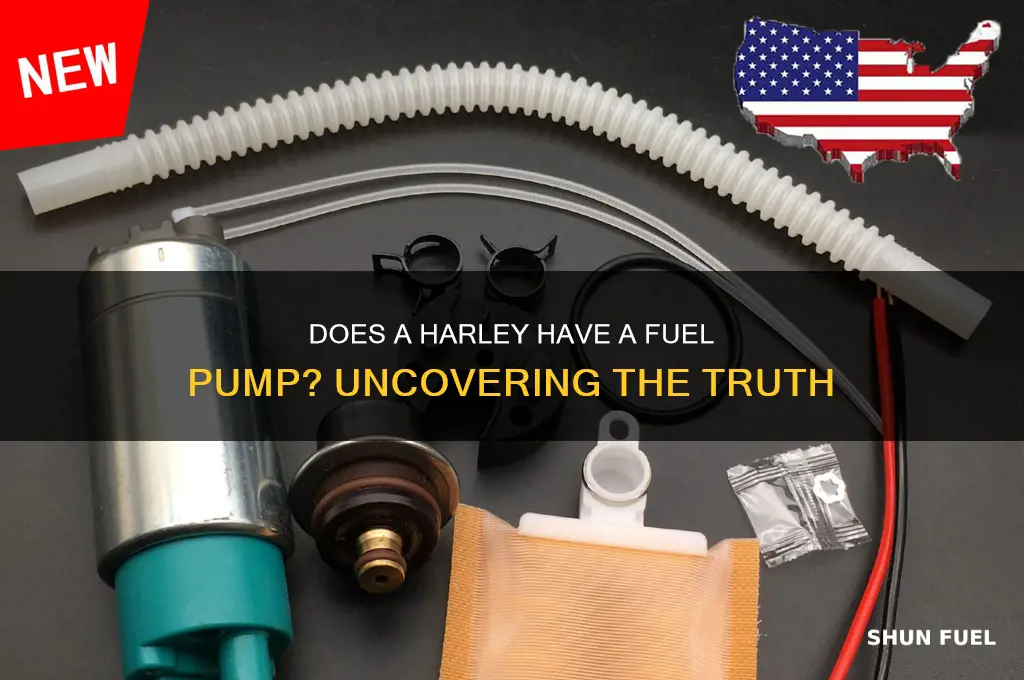 does a harley have a fuel pump