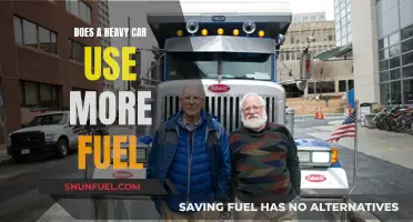 Heavy Cars: Fuel Consumption and Efficiency Explored