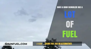 High Schoolers and Fuel Consumption: How Much Do They Really Use?