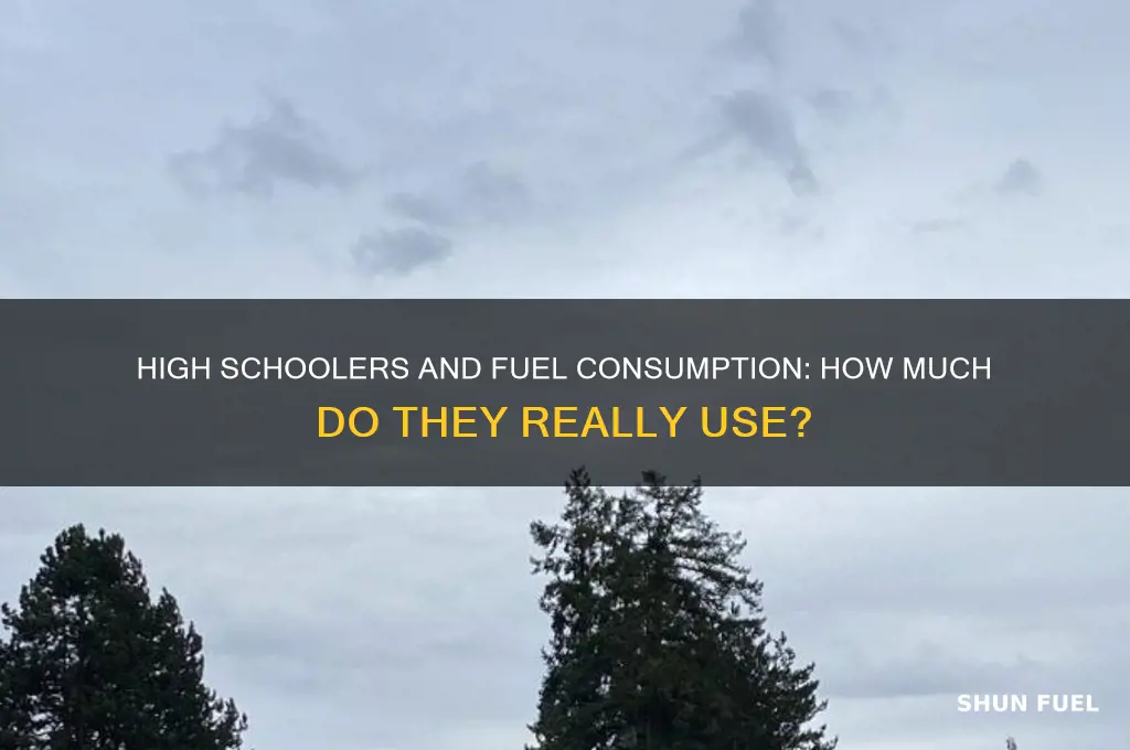 does a high schooler use a lot of fuel