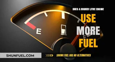 Higher Litre Engines: Fuel Consumption Myths vs. Facts Explained