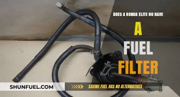 Fuel Filter Facts for the Honda Elite 80