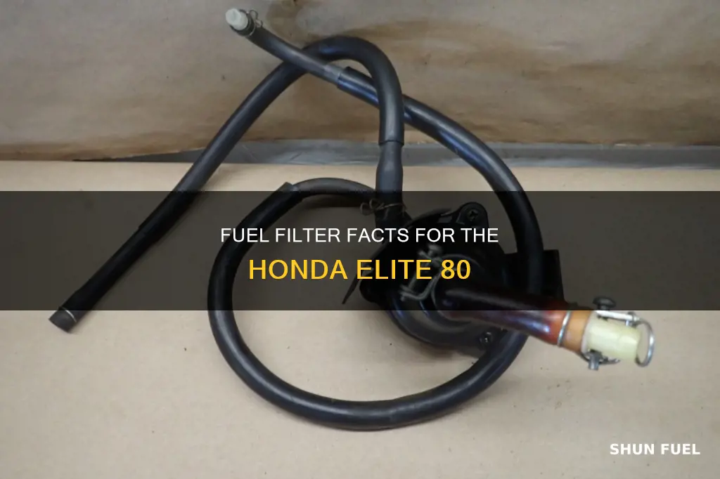 does a honda elite 80 have a fuel filter