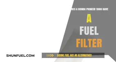 Honda Pioneer 1000 Fuel Filter: Does it Exist?