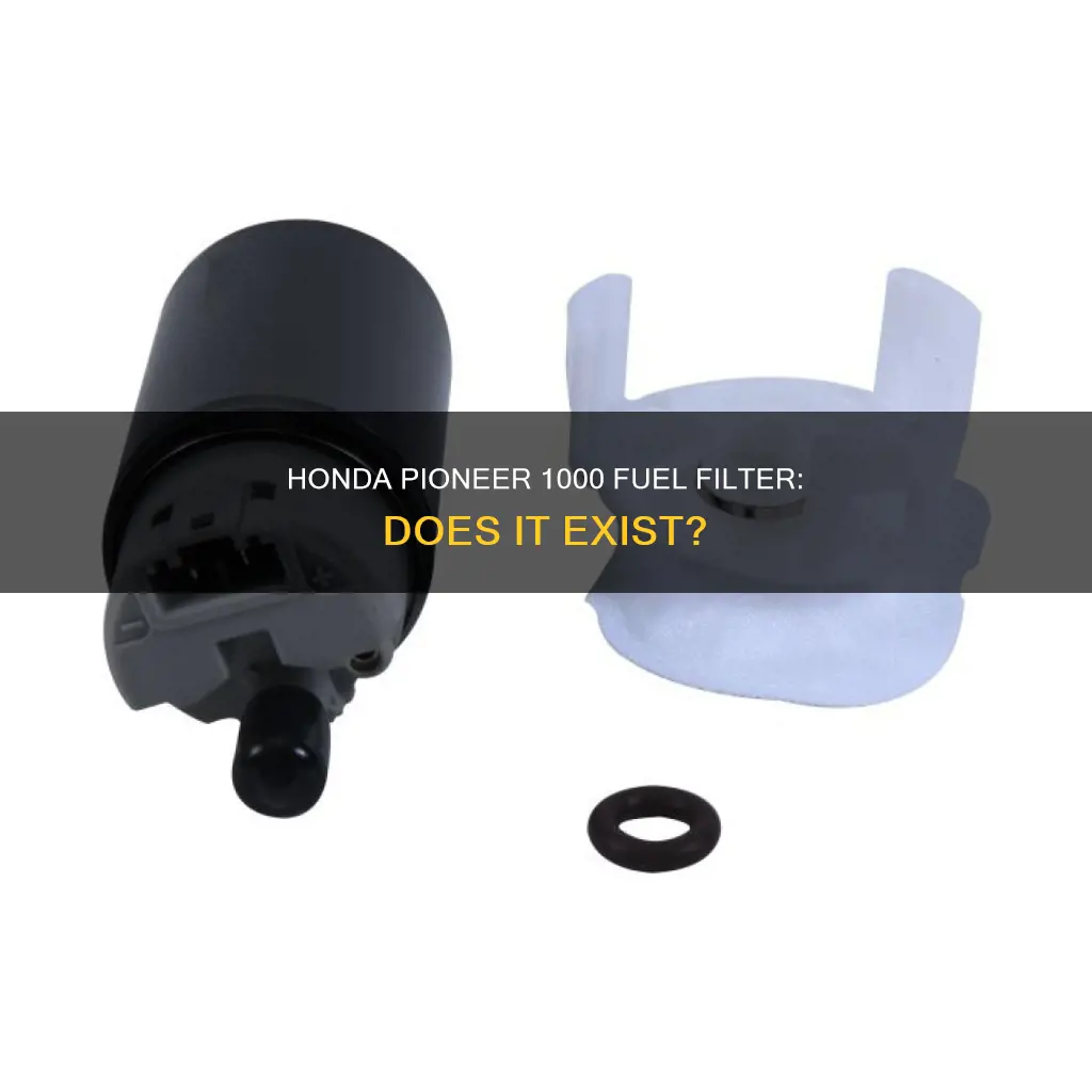 does a honda pioneer 1000 have a fuel filter