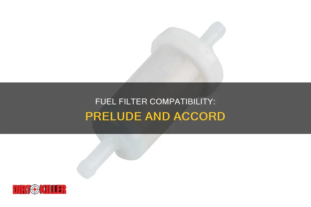 does a honda prelude fuel filter fit a honda accord