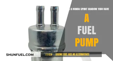 Honda Spirit Shadow 1100 Fuel Pump: Fact or Fiction?