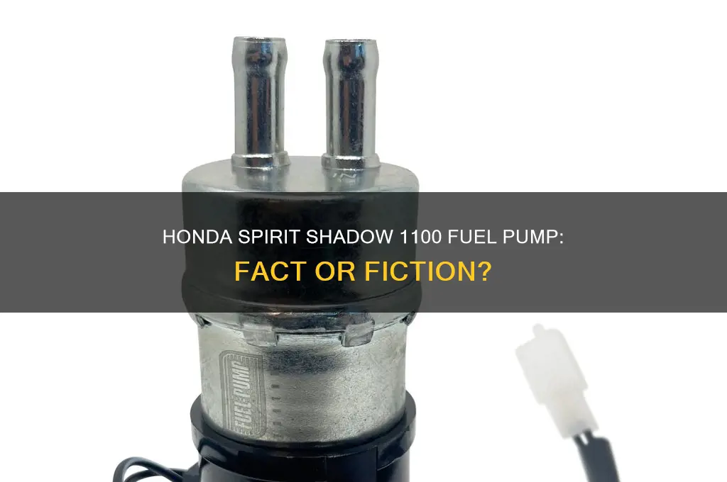 does a honda spirit shadow 1100 have a fuel pump